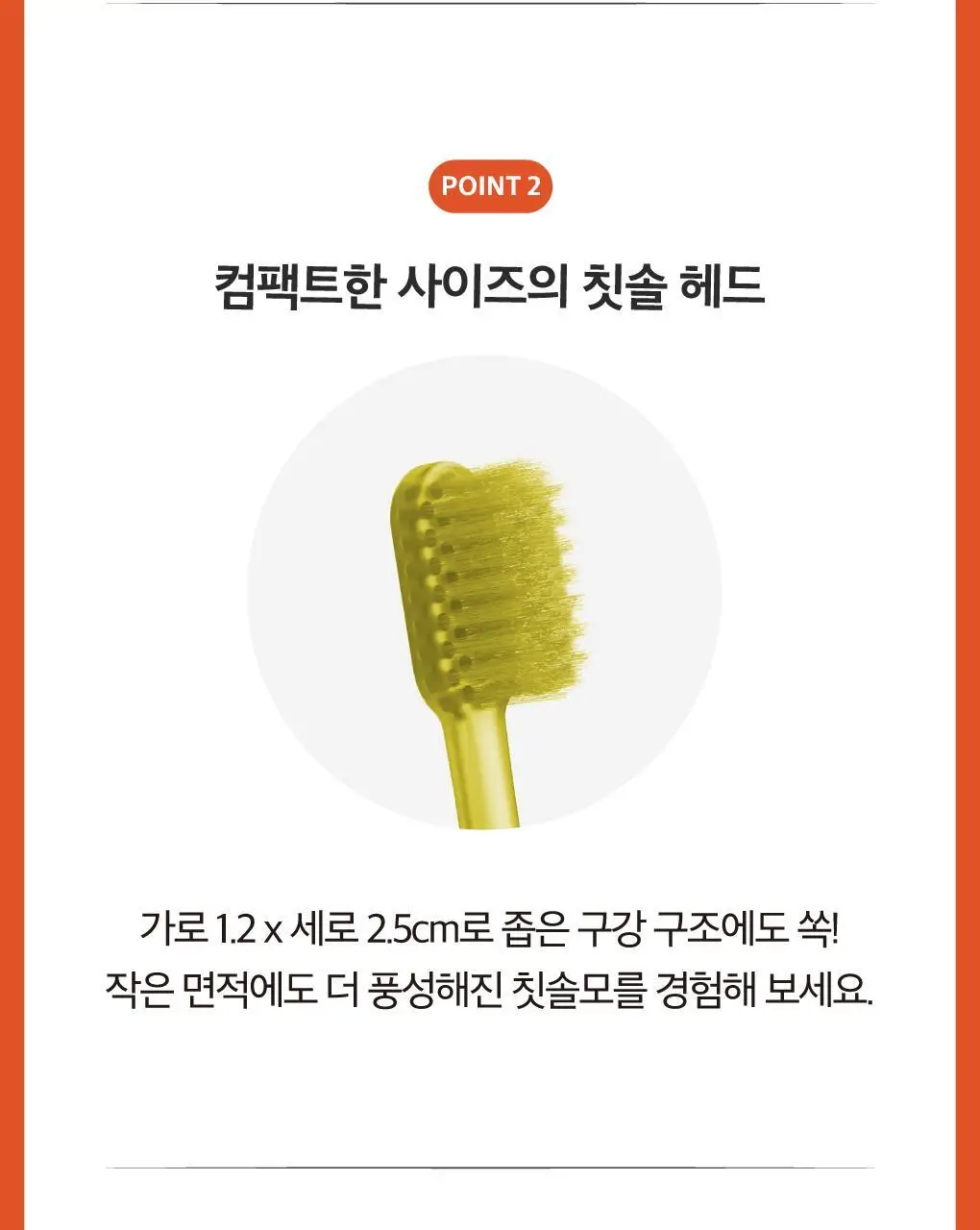 [3,700가닥풍성모] 루치펠로 코랄리프 양면미세모 칫솔 4P 상세페이지 11